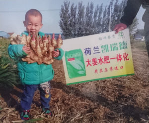 China May 2019