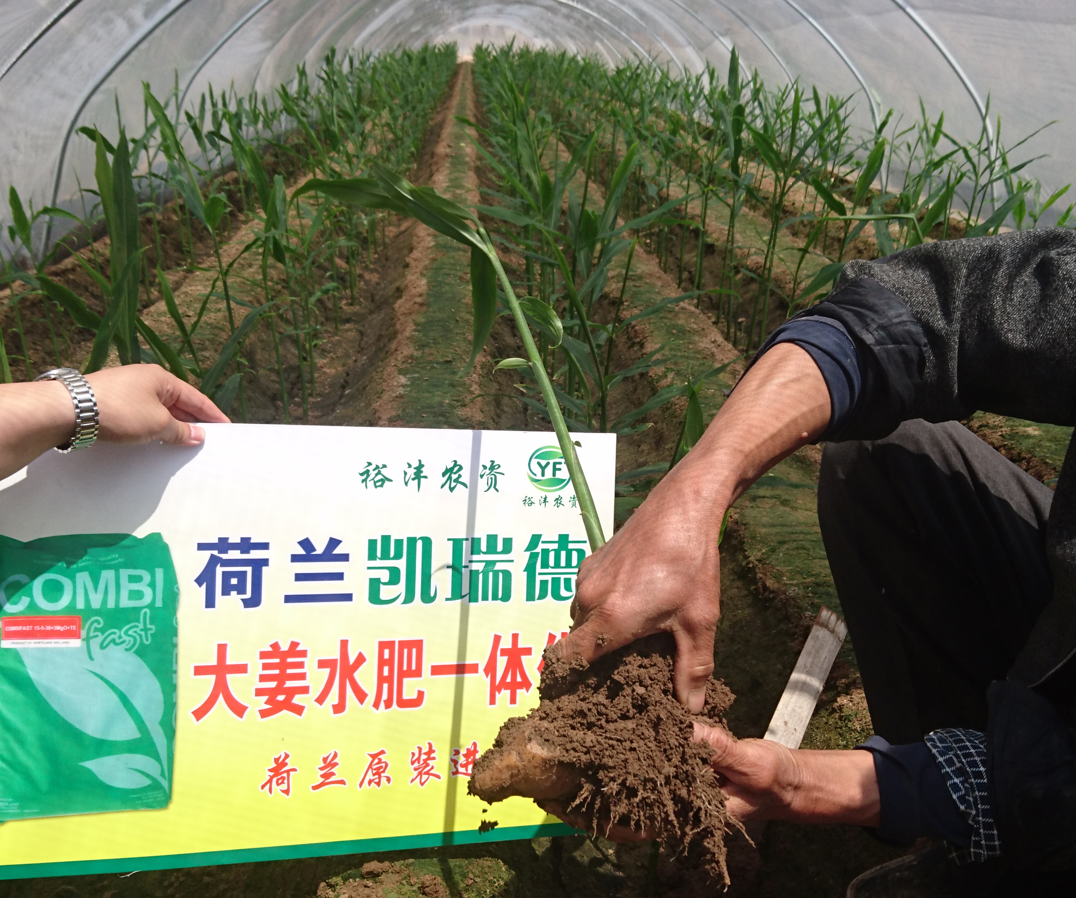 Hortiland’s COMBIFAST  wsf Fertilisers﻿ in China – May 2019