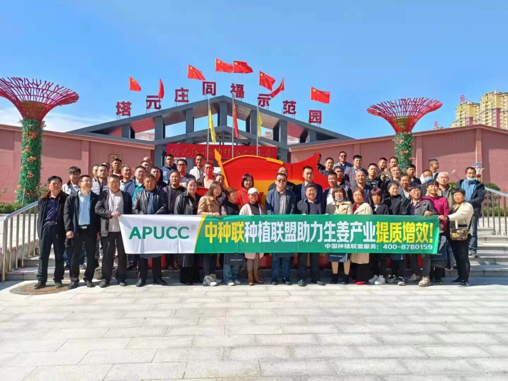 APUCC China